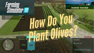 How Do You Plant Olives on Farming Simulator 22?