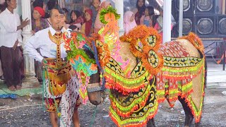 VIRAL DI TIKTOK KUDA TUNGGAL ABA MASIR SINAR BUDAYA TAHUN BARU 2023 TERBARU