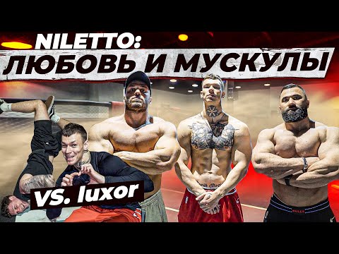 Видео: NILETTO: ЛЮБОВЬ и МУСКУЛЫ / vs LUXOR