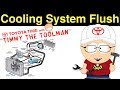 Cooling System Flush