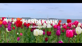 Lockdown | Harderwijk - The Netherlands | Spring 2021