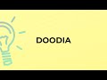 What is the meaning of the word DOODIA?doodia