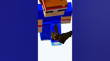 Minecraft Bat FACTS