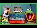 Kids Learn How to Take Care of Pet Dog and Hamster with Gus the Gummy Gator !