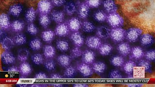 Norovirus at nationwide seasonal high