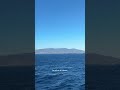 STRAIT OF HORMUZ UPDATE!! #hormoz