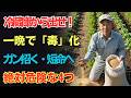 9割が勘違い!米ぬかは虫を呼ばない?本当の使い方とは