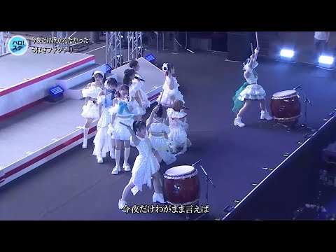 歌詞付 [ハロステ#599] つばきファクトリー「今夜だけ浮かれたかった」2025-0828