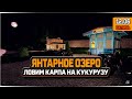 Ловля Карпа на Кукурузу на Янтарном озере, 500 плюс серебра за час рыбалки — Русская Рыбалка 4