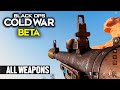 Call of Duty BLACK OPS COLD WAR &#39;BETA&#39; — ALL Weapons SHOWCASE