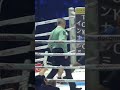 井上尚弥のフォー