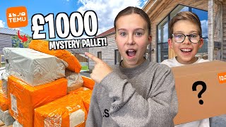 UNBOXING a £1000 mystery TEMU PALLET!