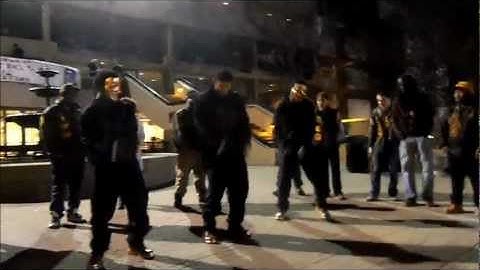 Iota Phi Theta Eta Nu Chapter Probate Spring 2013