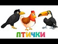 Птицы для детей - Карточки Домана - Как говорят животные для детей