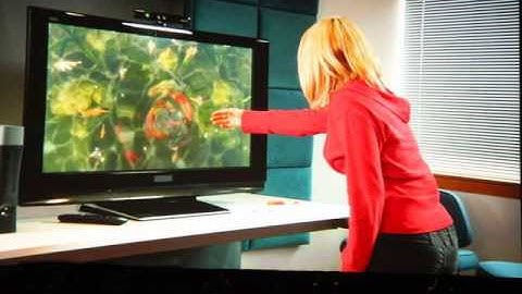 PS Move vs.Project Natal