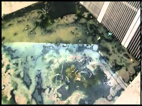 CNI WaterLife (English)