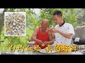 厨师长分享：“白灼血蛤”的家常做法，10秒出锅，味道鲜嫩多汁