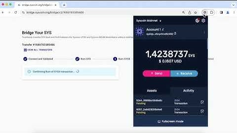 How to use the Syscoin Bridge