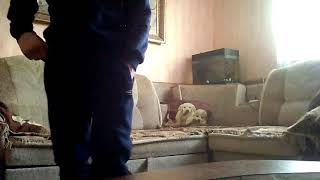 На смотри Догадкина Димыча На смотри Догадкина Димыча