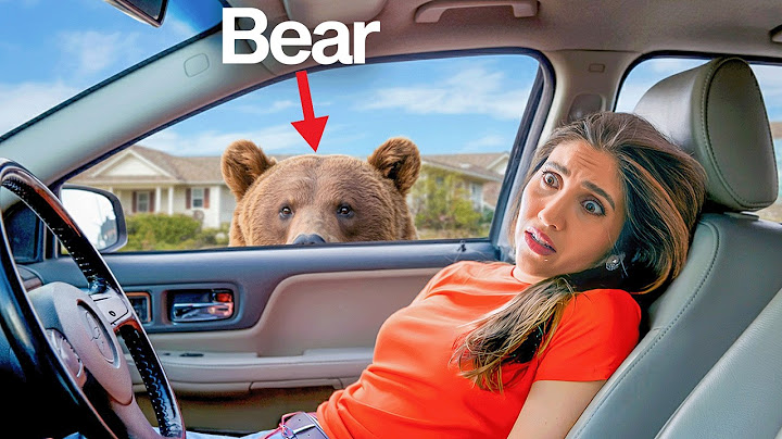 We Found A REAL BEAR in our Backyard!
