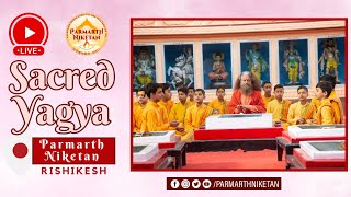 Sacred Morning Yagya in the Presence of HH Param Pujya Swamiji| || 29 Apr 2024