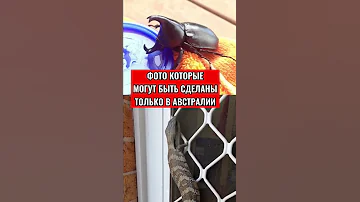 ФОТО КОТОРЫЕ МОГУТ БЫТЬ СДЕЛАНЫ ТОЛЬКО В АВСТРАЛИИ