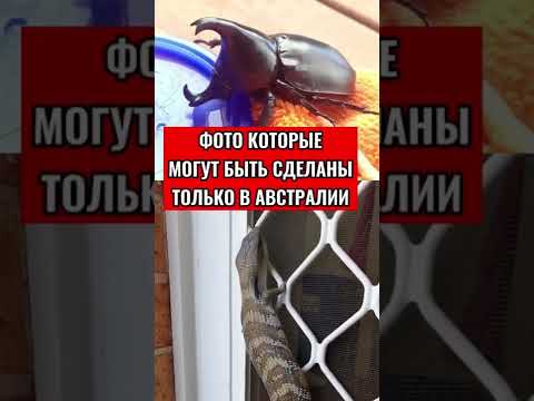 ФОТО КОТОРЫЕ МОГУТ БЫТЬ СДЕЛАНЫ ТОЛЬКО В АВСТРАЛИИ