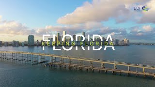 Keeping Florida, Florida: Nature provides a path to a climate resilient Miami
