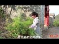 农村小妹做3个月自媒体，昨天收入2286元，看看她是怎么做到的！【云乡小丽】