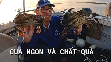 Thèm cua, đi bắt cua ở biển | #69 | Đức Ở Úc Câu Cá