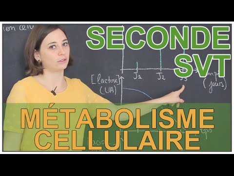 Vidéo: Pourquoi est-il difficile de suivre les réactions biochimiques dans les cellules ?