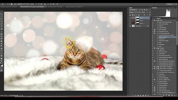 How to Apply an Overlay in Photoshop CC *CLP Design*