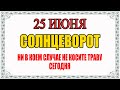 25 ИЮНЯ народный праздник ПЕТР СОЛНЦЕВОРОТ. Что нельзя сегодня делать? Что можно делать? Приметы