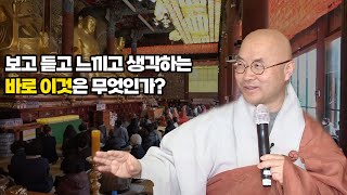 참선수행 참사람의 향기 [선명상으로 찾는 마음의 평안 중앙승가대 교수 금강스님]