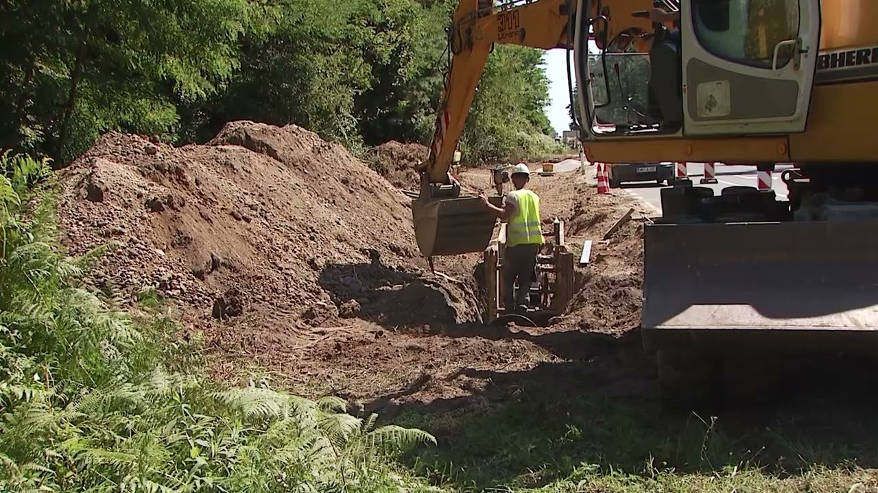 Elektro Maribor obnavlja omrežje v Spodnjem Podravju