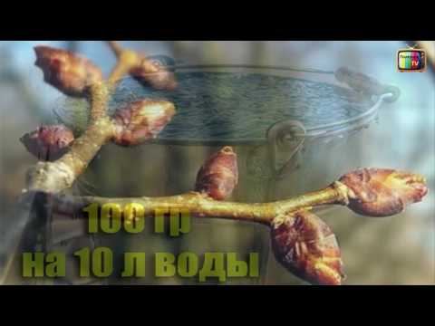 МЕДНЫЙ КУПОРОС ПРИМЕНЕНИЕ