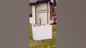 Turning Her House Into A Petting Zoo 😂