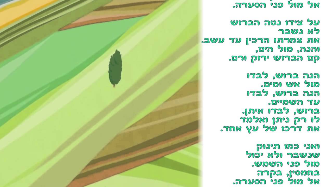 ברוש