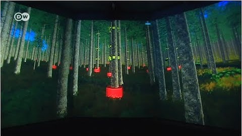 The virtual Forest | Tomorrow Today