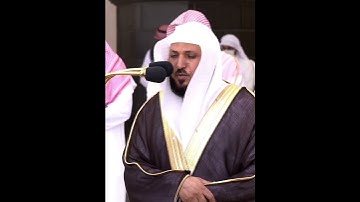 سورة الفاتحة ~ للشيخ د.#ماهر_المعيقلي
