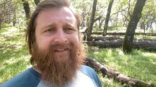 Daily Dwell Matthew 27 Part 2