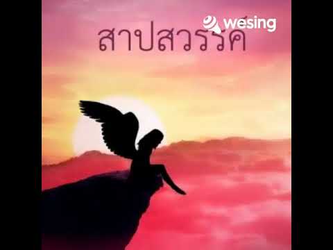 สาปสวรรค์-ทรงกลด ฌามา อาร์สยาม(Cover)❤