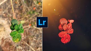 Creative Snapseed Photo Editing Tutorial | Lightroom New photo Editing Tutorial screenshot 4