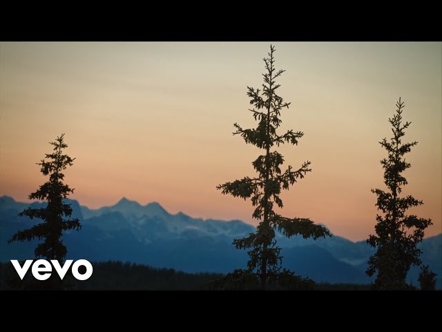 S. CAREY - Neverending Fountain