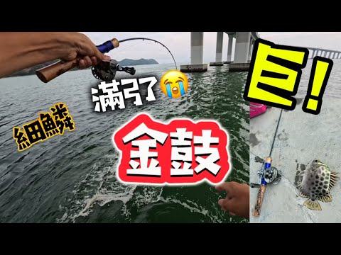 打龜心態去試位 最後竟然有意外收獲😱#香港釣魚 #艇釣 #fishing #筏釣り