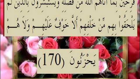 القران الكريم سورة آل عمران الأية 170