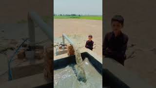 ⚡ SMG Solar Inverter کی خفیہ سیٹنگز | Solar Experts بھی حیران! #solarproject