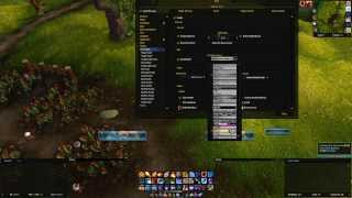 WOW UI SETUP Part 4: ElvUI