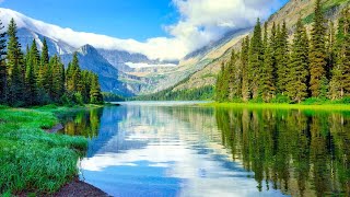 Deep Sleep Music 247, Calm Music, Meditation Music, Sleep Music, Study Music, Sleeping Music