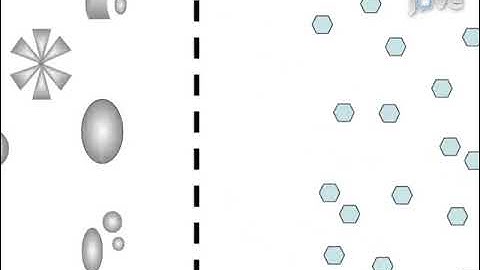 BN PAGE Gel Electrophoresis